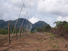 VHF ionospheric antenna array